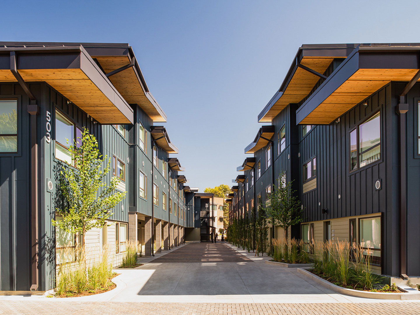 Ash + River Townhomes Pivot North Architecture