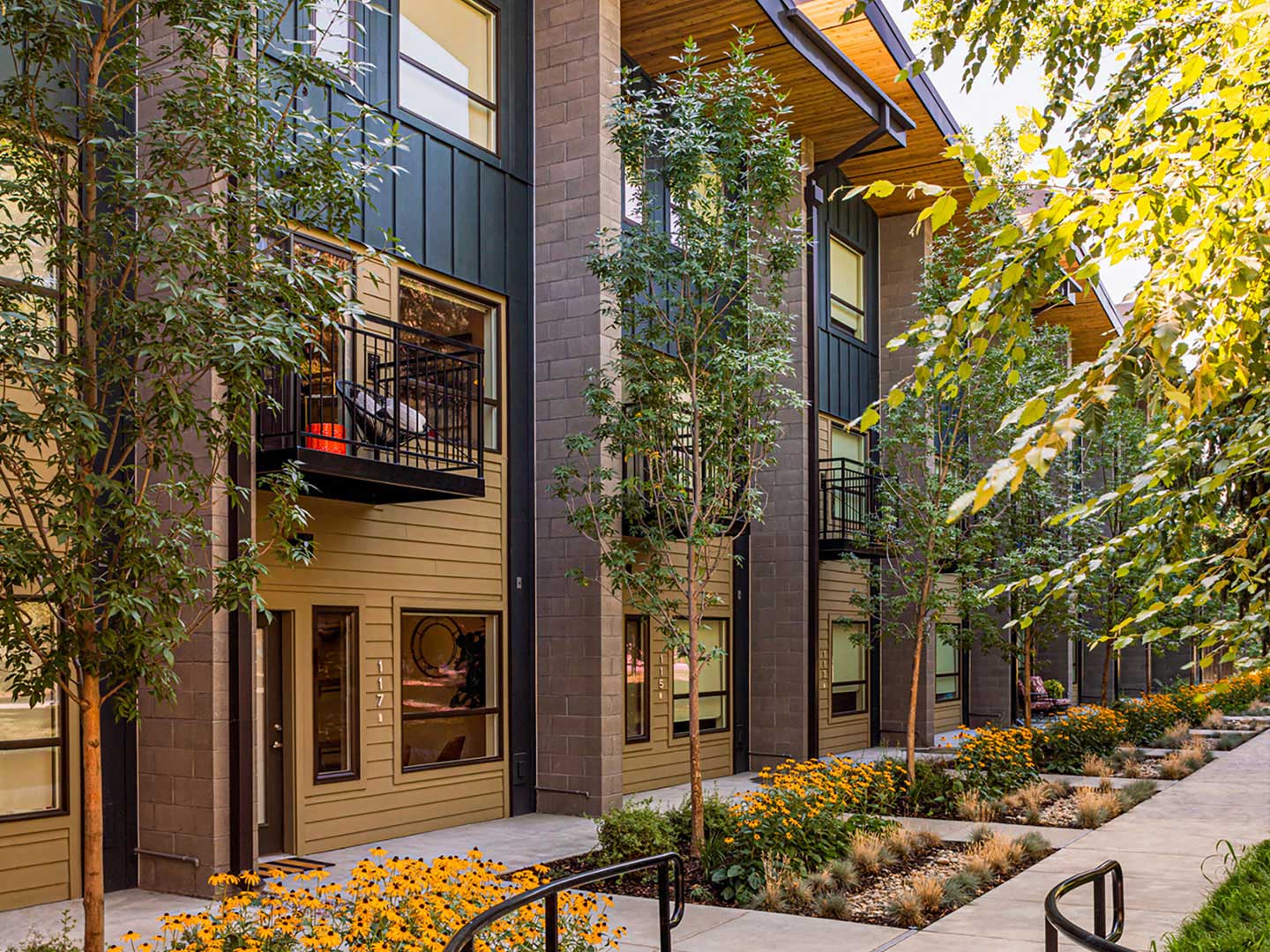 Ash + River Townhomes Pivot North Architecture